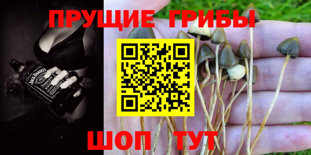 Красноярск  Галлюциногенные грибы ЛСД  даркнет сайт  Галлюциногенные грибы мицелий  Вход с VPN 