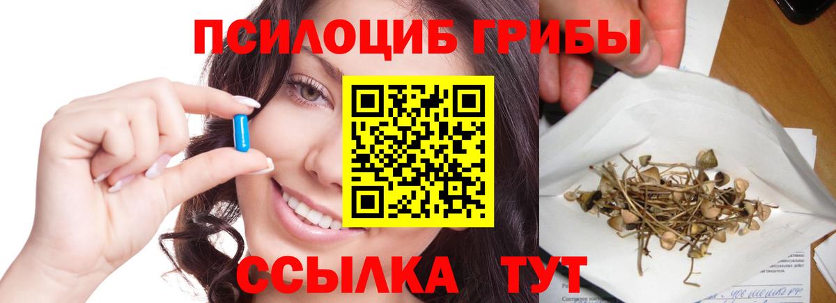 Галлюциногенные грибы Psilocybe Красноярск